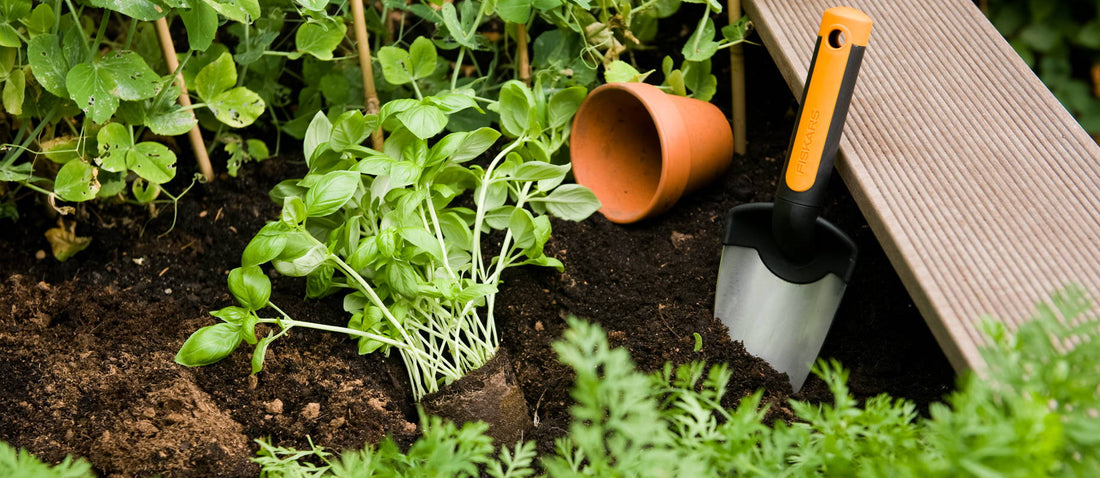 Get ready for spring