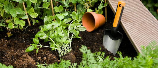 Get ready for spring