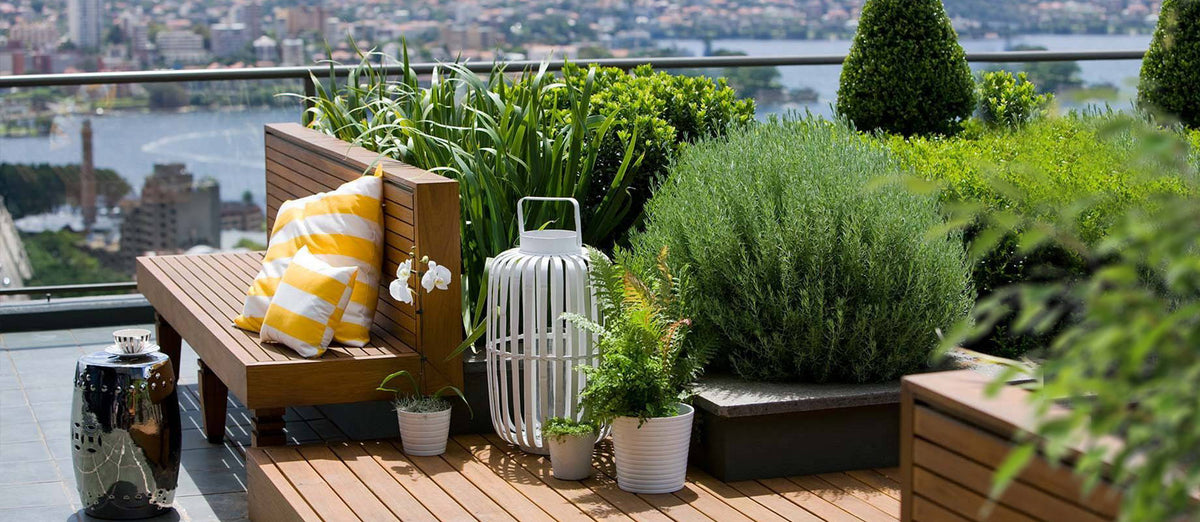 The rooftop patio