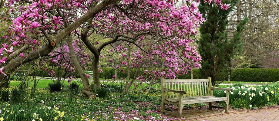 The considerable benefits of planting in autumn