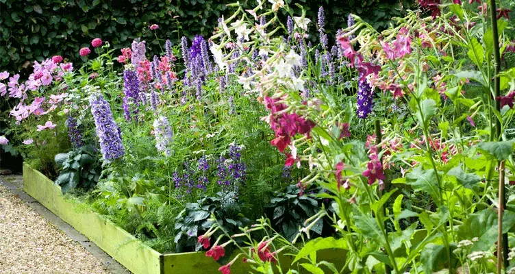 A bouquet you can pick from your own garden