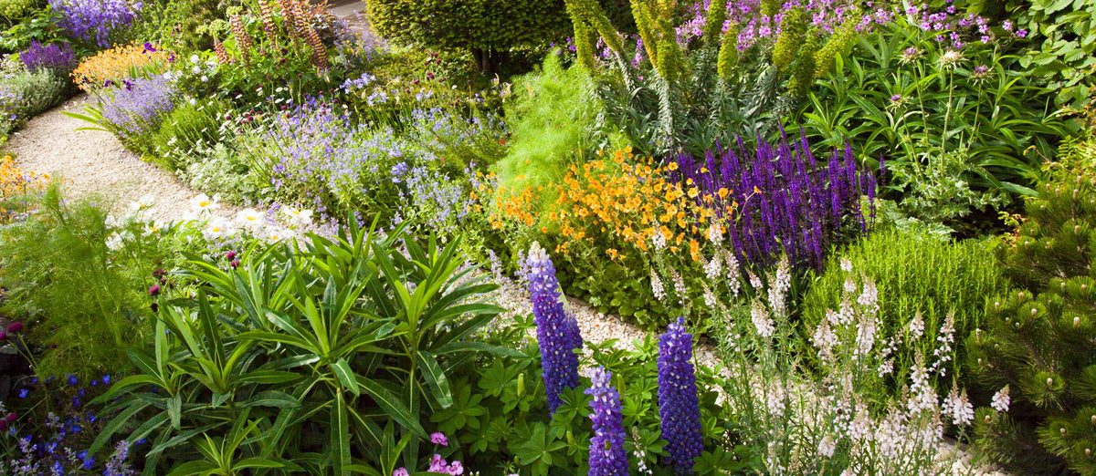 The Bohemian Border