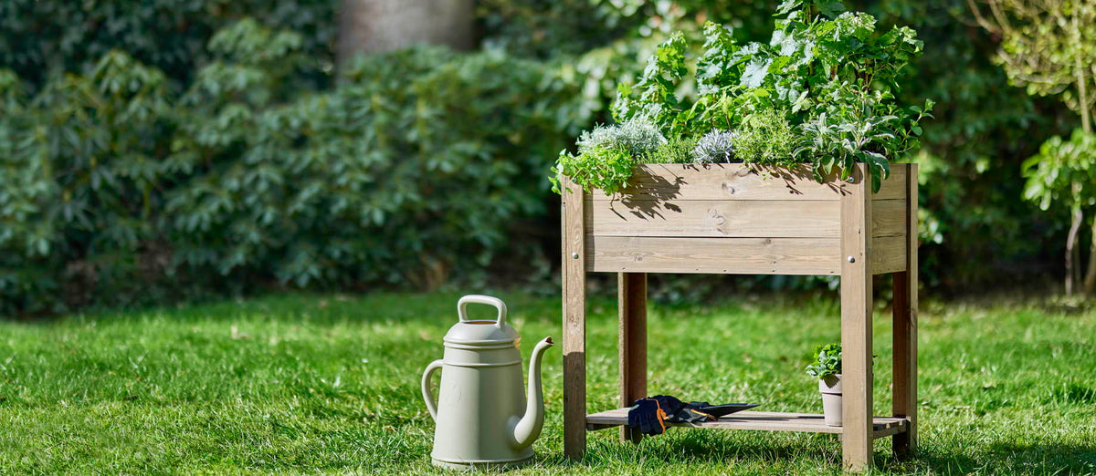 Starting a vegetable garden: A step-by-step guide to growing vegetables