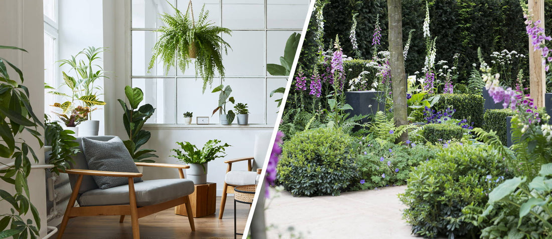 Expressive greenery for a life full of happiness