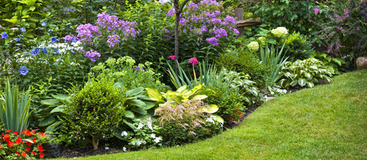 Creating a border: how do you do it?