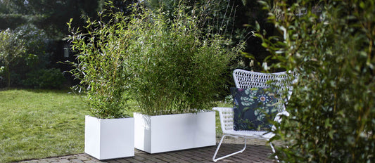 Garden trends for 2022