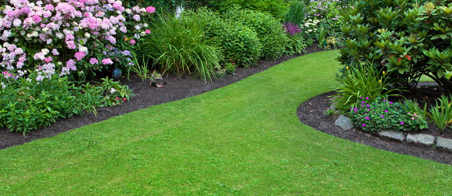 Lay your own lawn