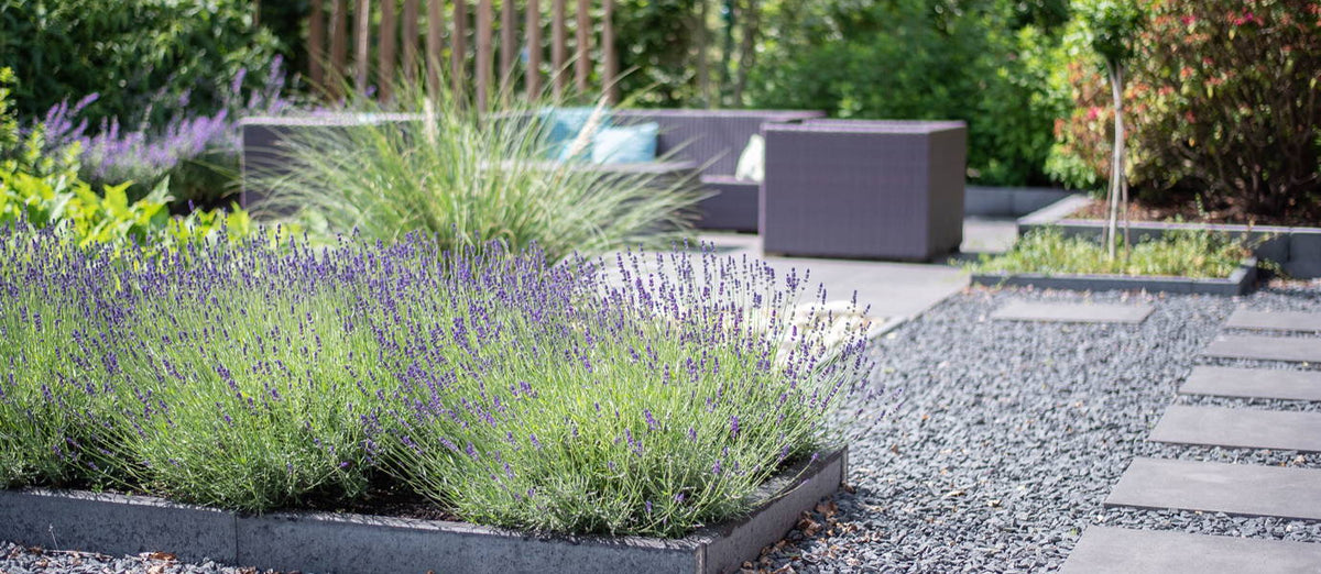 Basic tips to lay out an attractive front garden