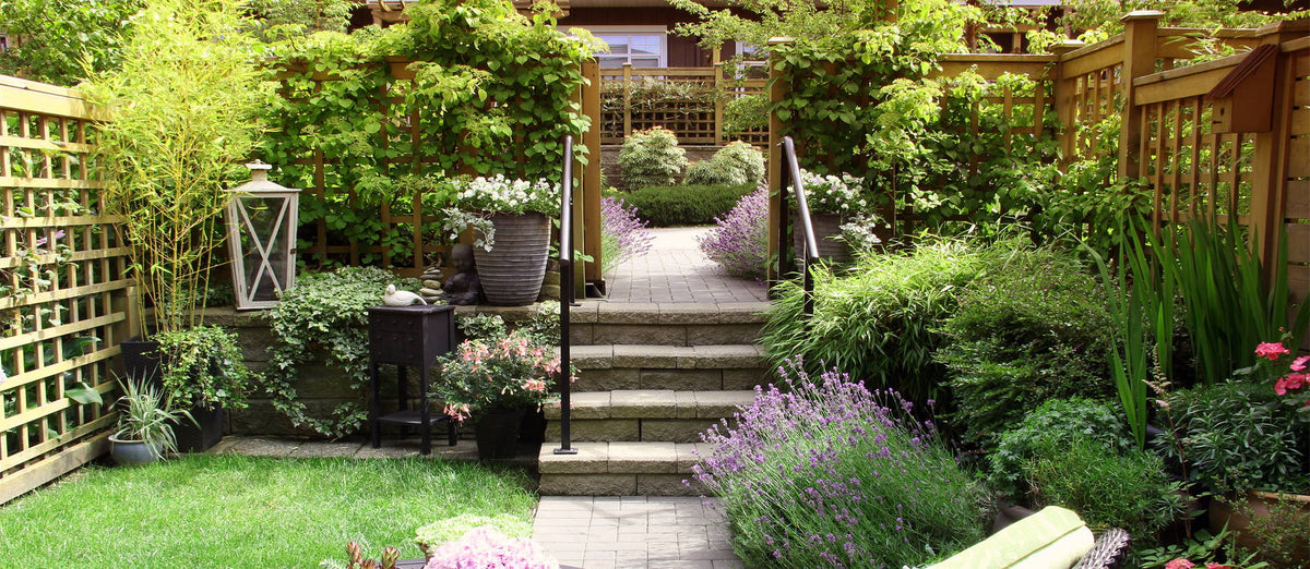 Green and coloured garden enclosures