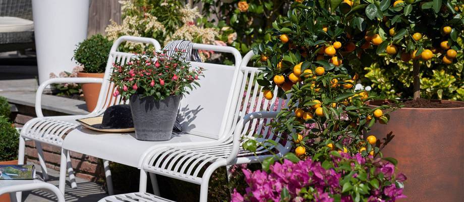 Outdoor life: choose your garden trend