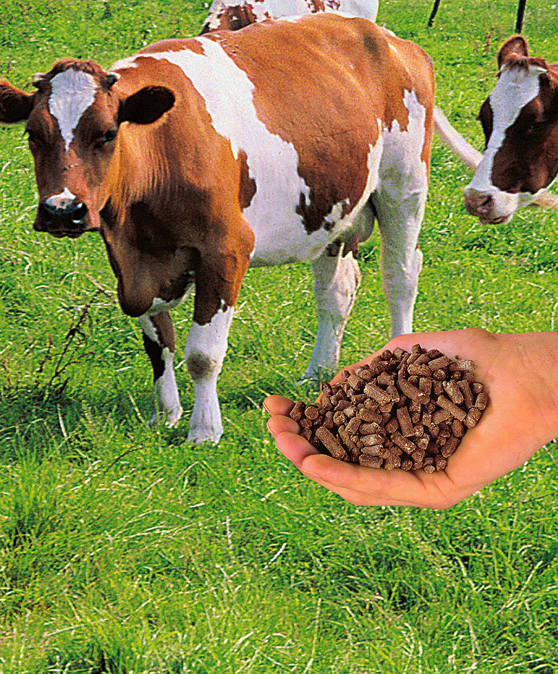 Bakker Manure Plus Granular Form