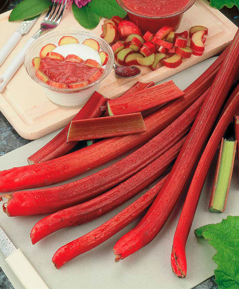 Rhubarb Rheum rhabarbarum - Bare rooted