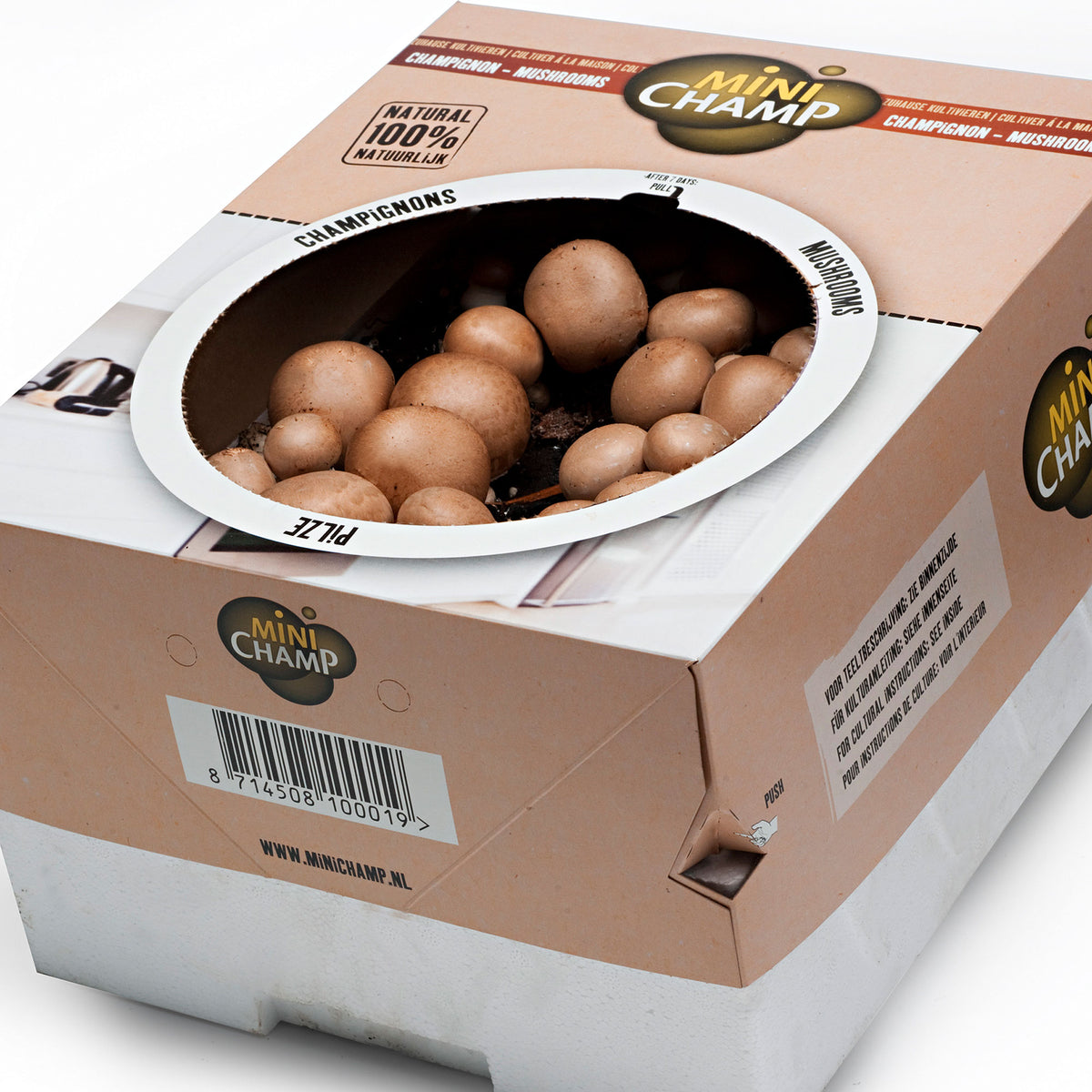 Mushroom cultivation set Agaricus bisporus chestnut - Bio