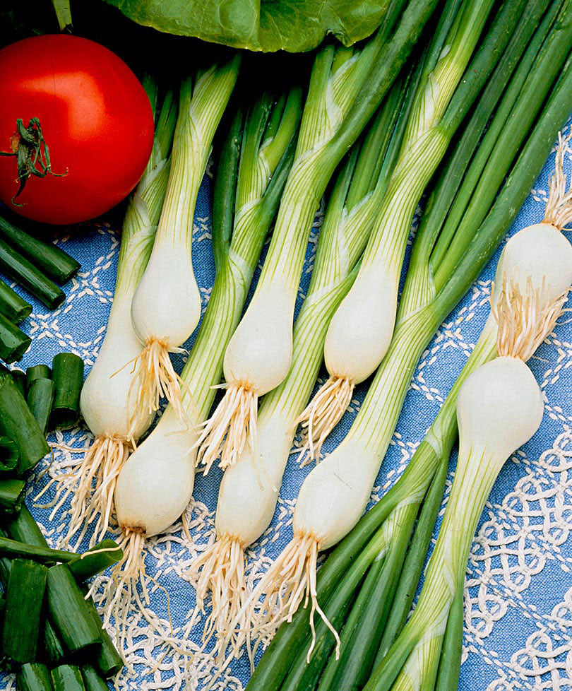 Vegetable seeds 'White Lisbon'