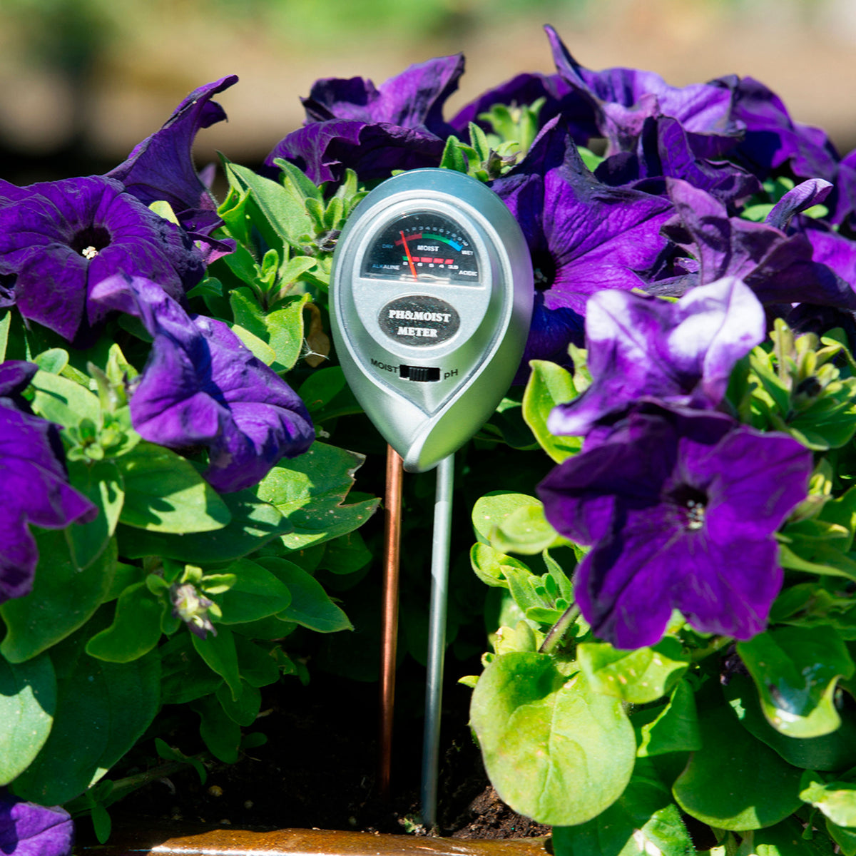 Nature For pH and Moisture Levels