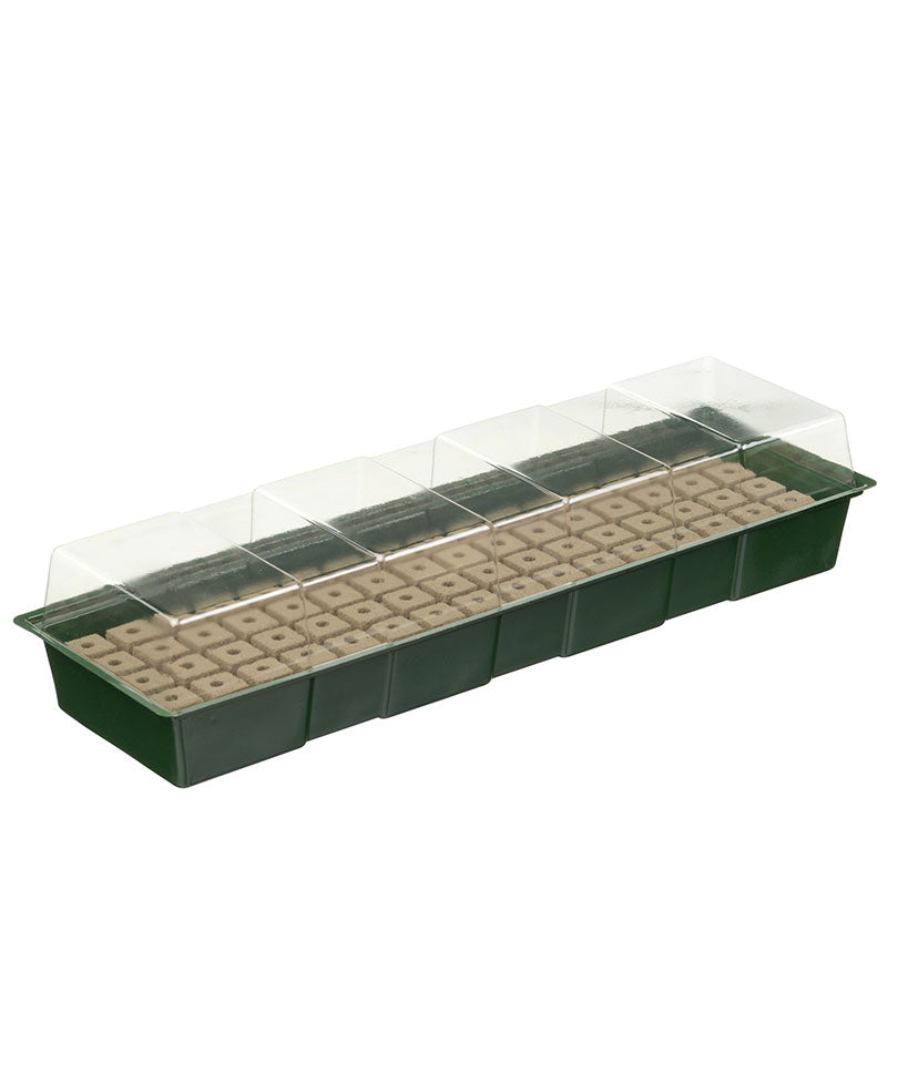 Nature propagator incl. floral foam