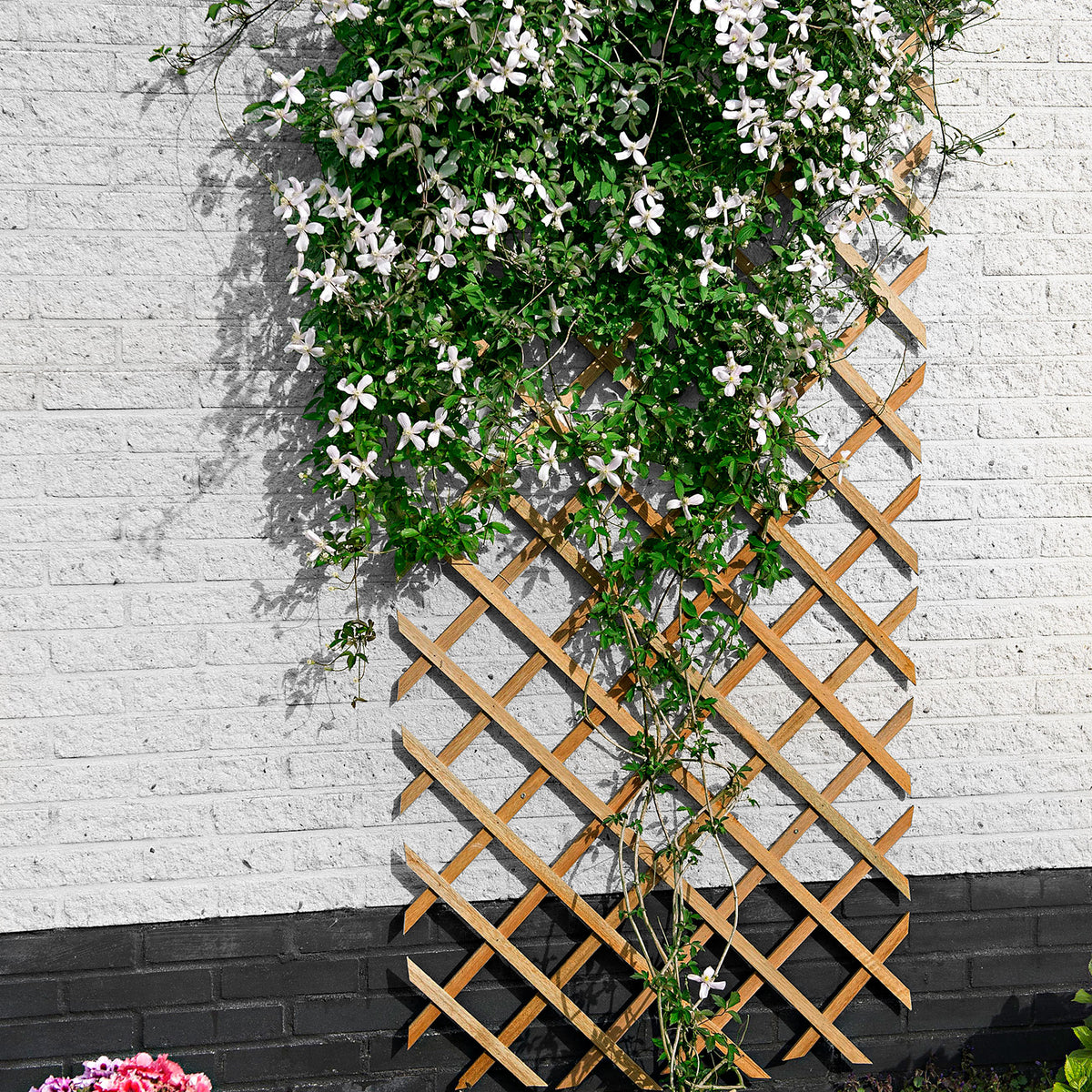 Nature Climbing Frame