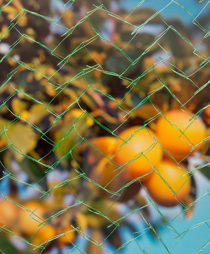 Nature Garden netting Green