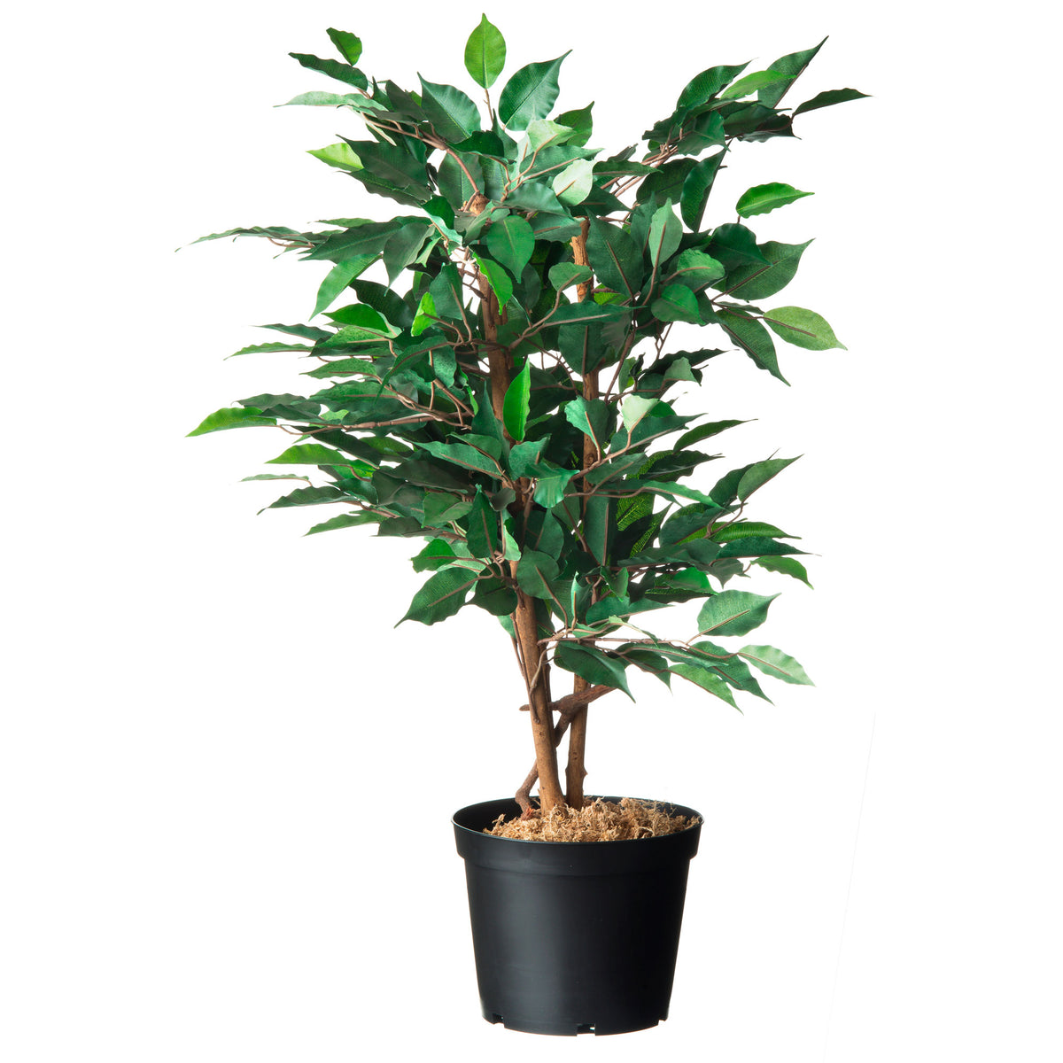 Nature Nursery Pot Black