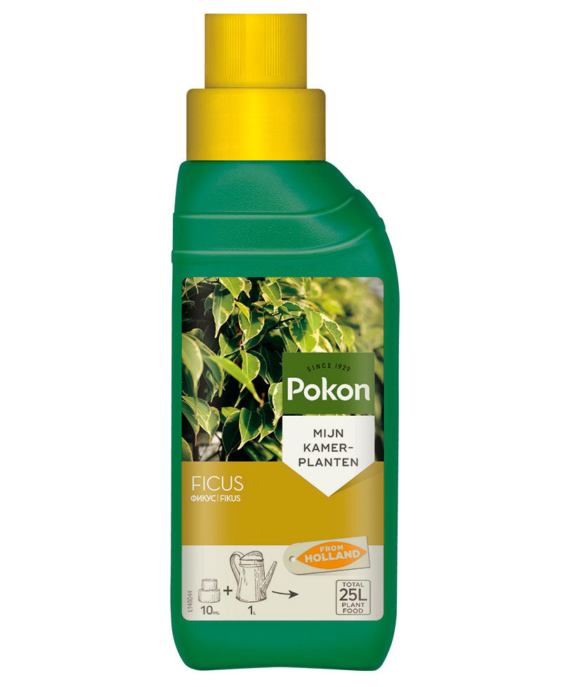 ficus plant fertilizer Buy Ficus fertiliser 250 ml - Pokon