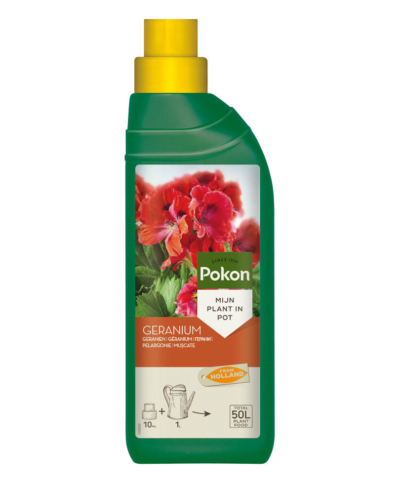 geranium plant fertilizer Buy Fertiliser for geraniums 500 ml - Pokon