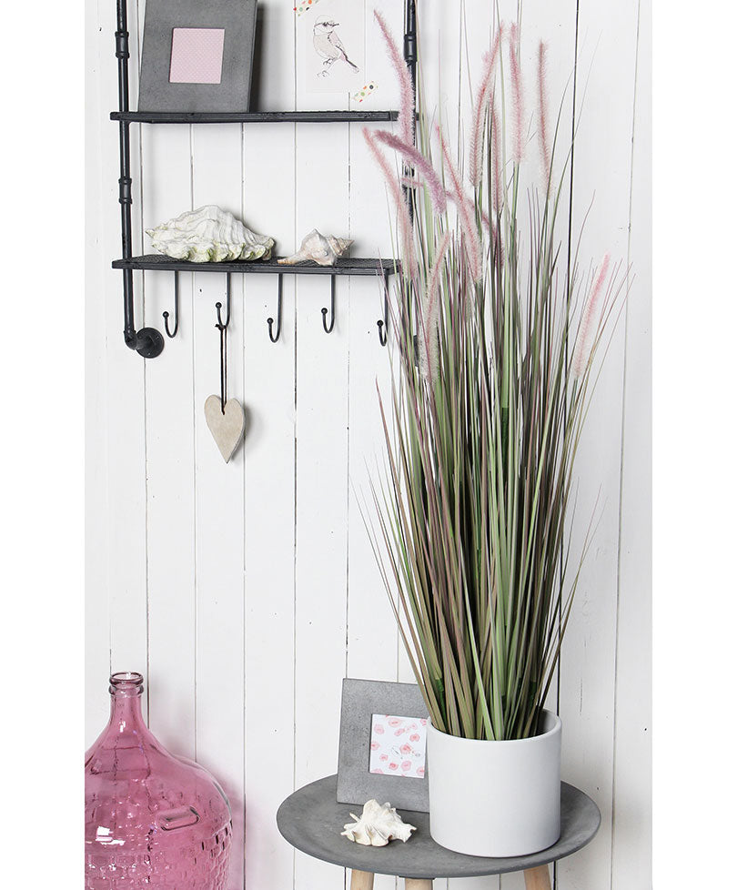 Decorative Dogtail Grass Purple