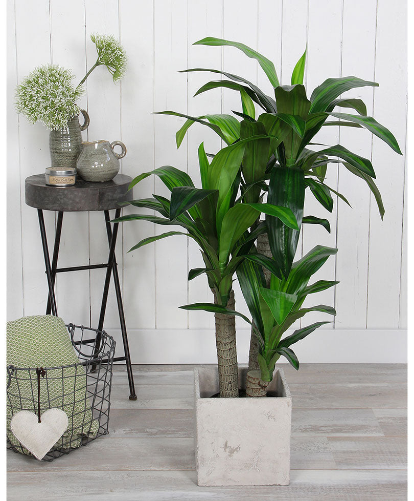Artificial plant Dragon tree Dracaena including round plastic decorative pot