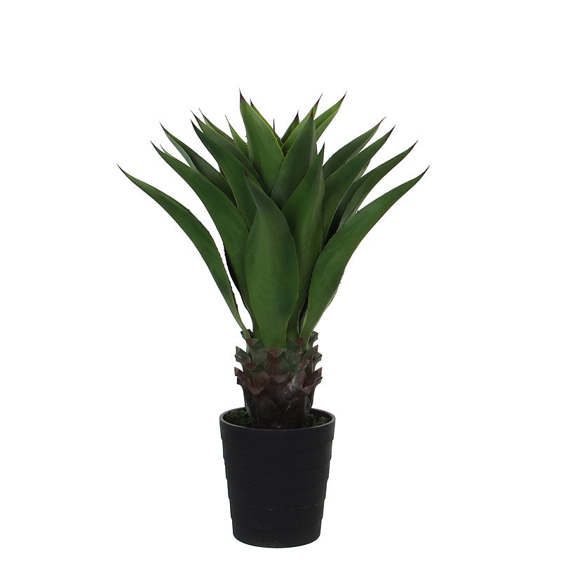 Mica Artificial agave plant