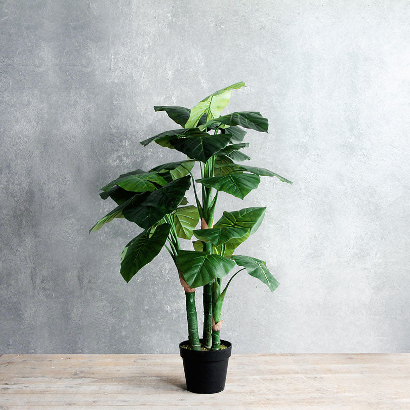 Mica Artificial taro plant