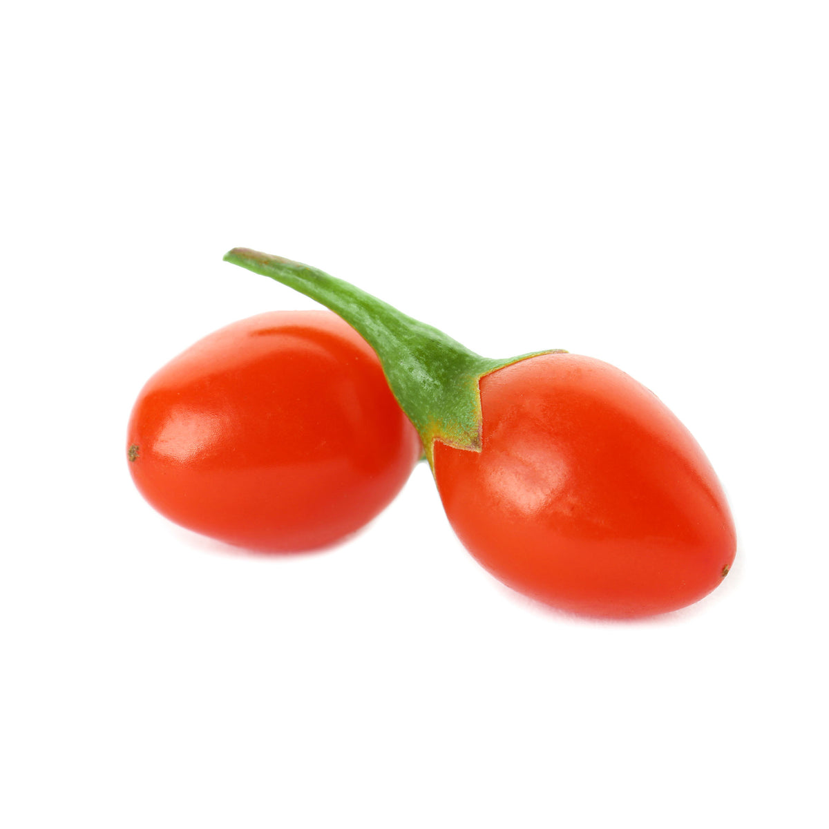 Goji berry Lycium 'Princess Tao' Red - Bio - Hardy plant