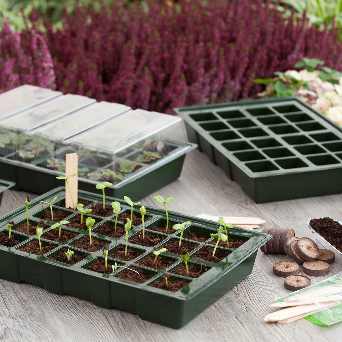 Complete growing kit