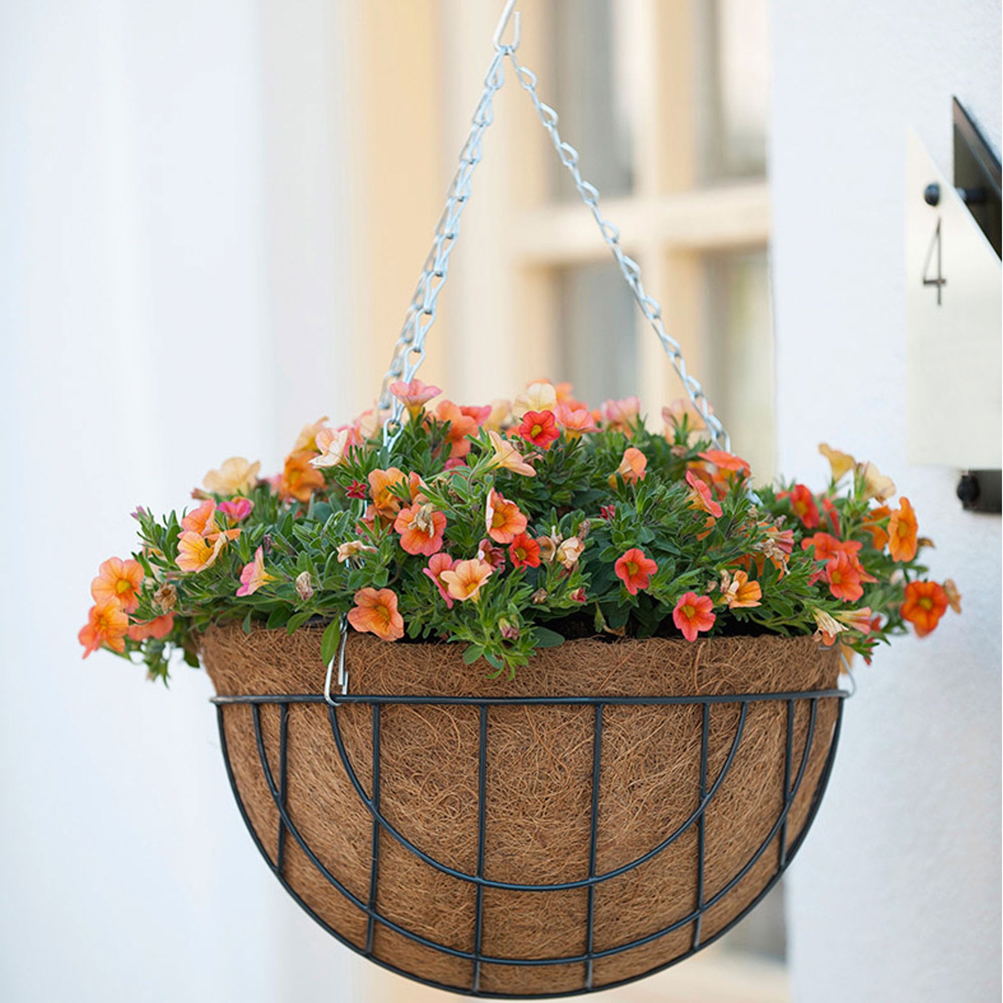 Buy Hanging basket set Black-Brown | Bakker.com