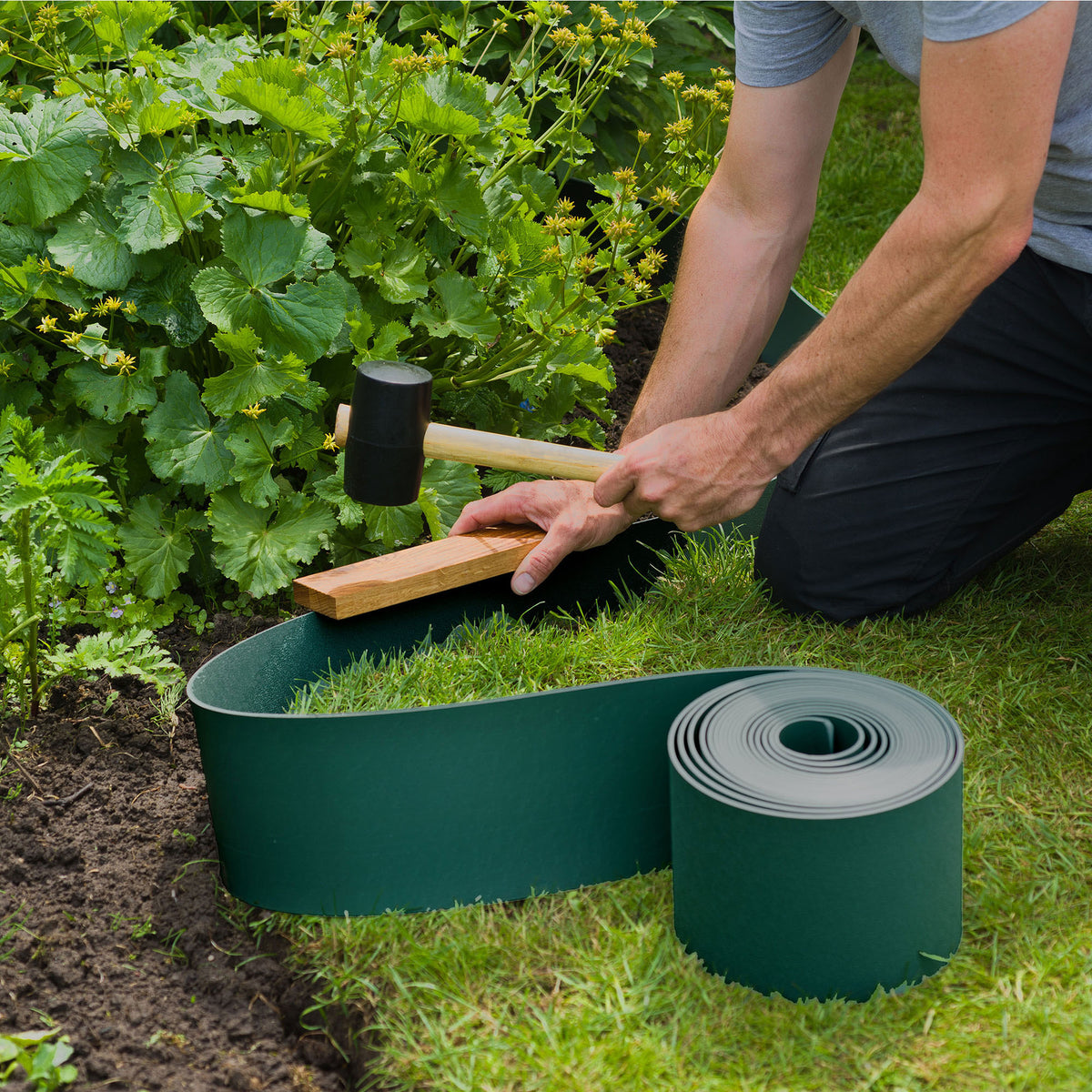 Nature Border edge Green