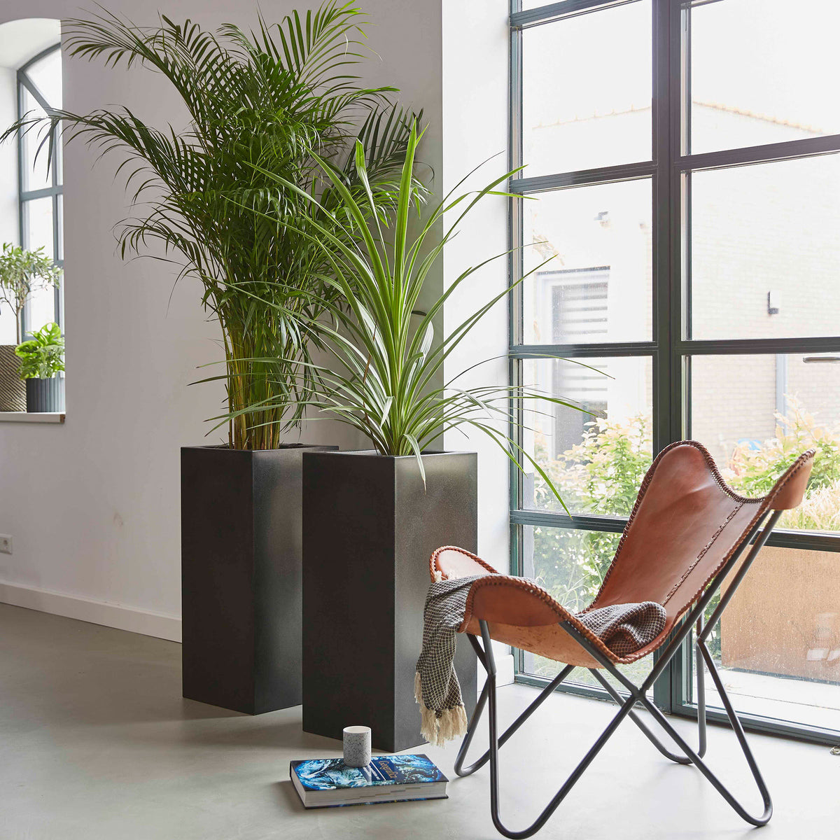 Capi Flower pot Urban smooth rectangular black - Indoor and outdoor pot
