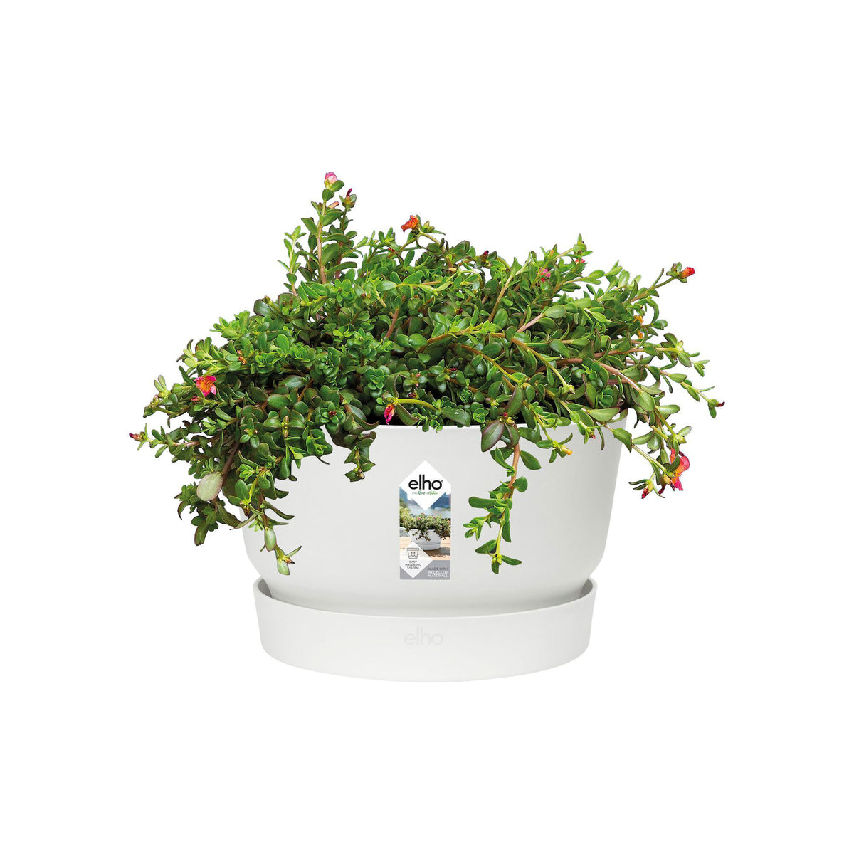 Elho Bowl Greenville round white - Outdoor pot