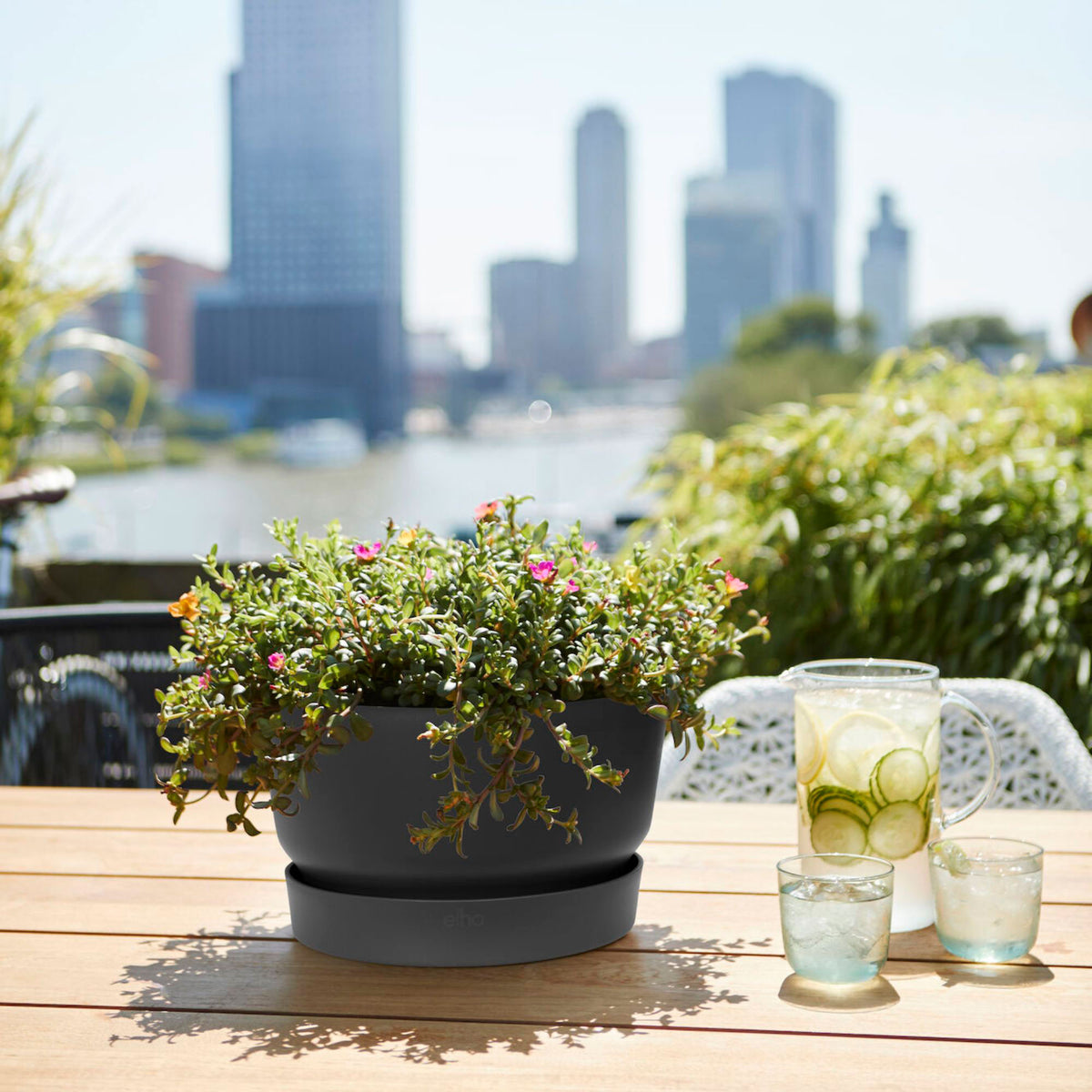 Elho bowl Greenville round black - Outdoor pot