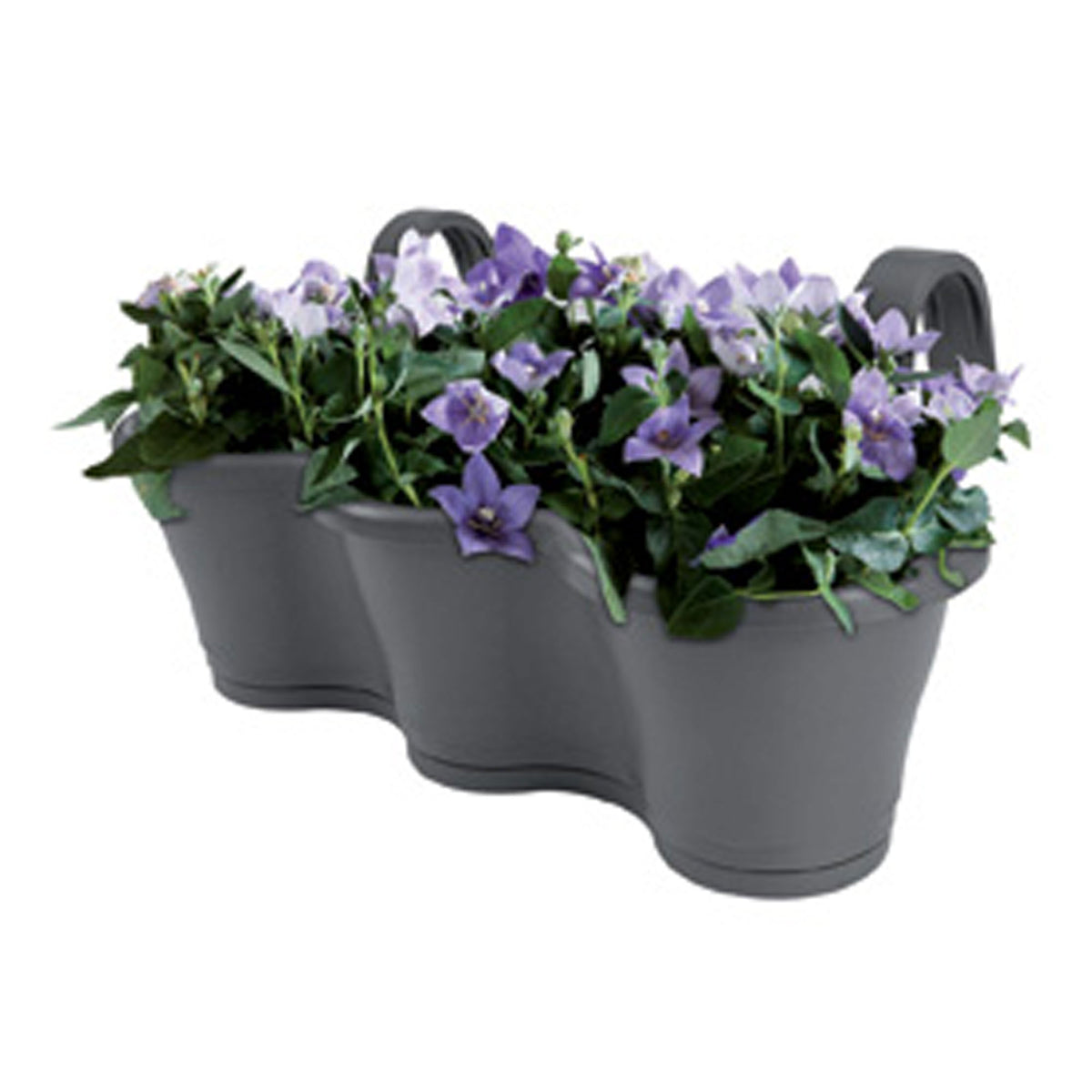 Elho balcony planter Corsica easy hanger trio anthracite - Outdoor pot