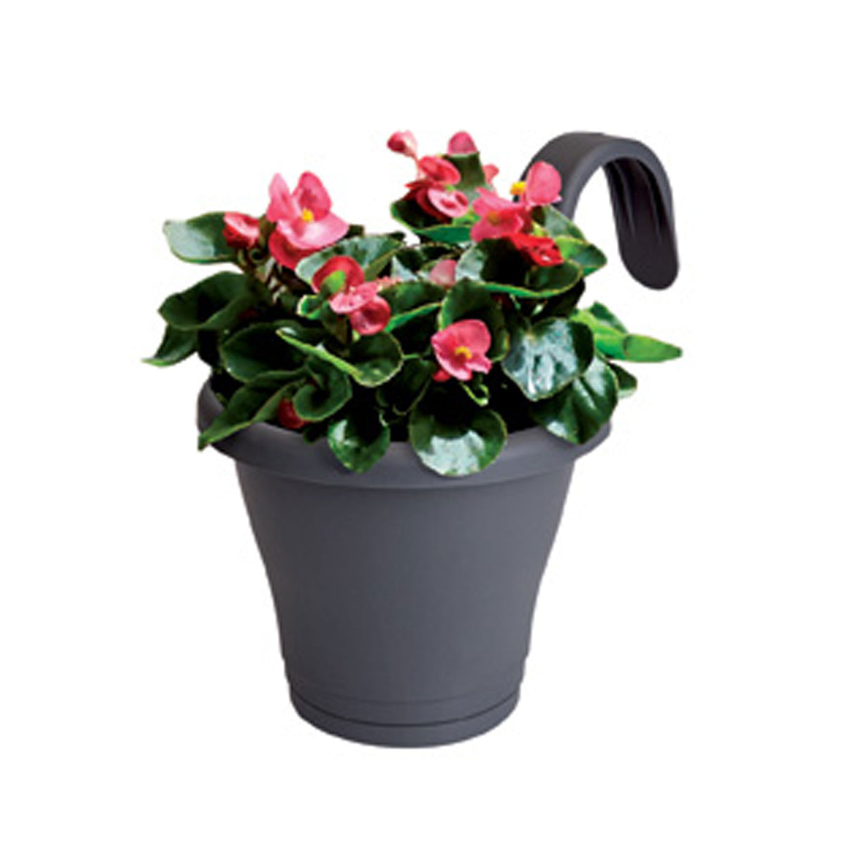 Elho balcony planter Corsica easy hanger single round anthracite - Outdoor pot