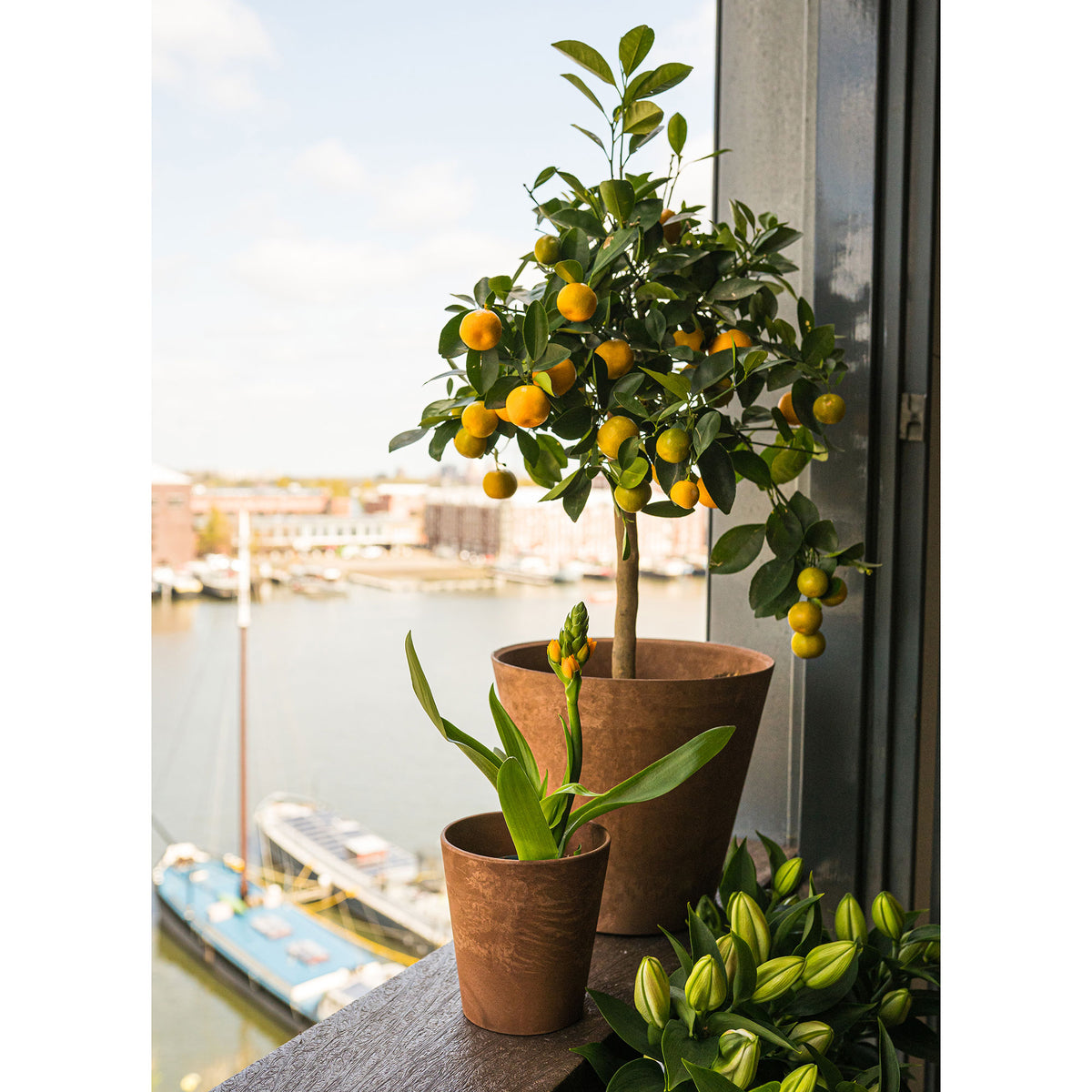 Artstone Flower pot Claire round brown - Indoor and outdoor pot