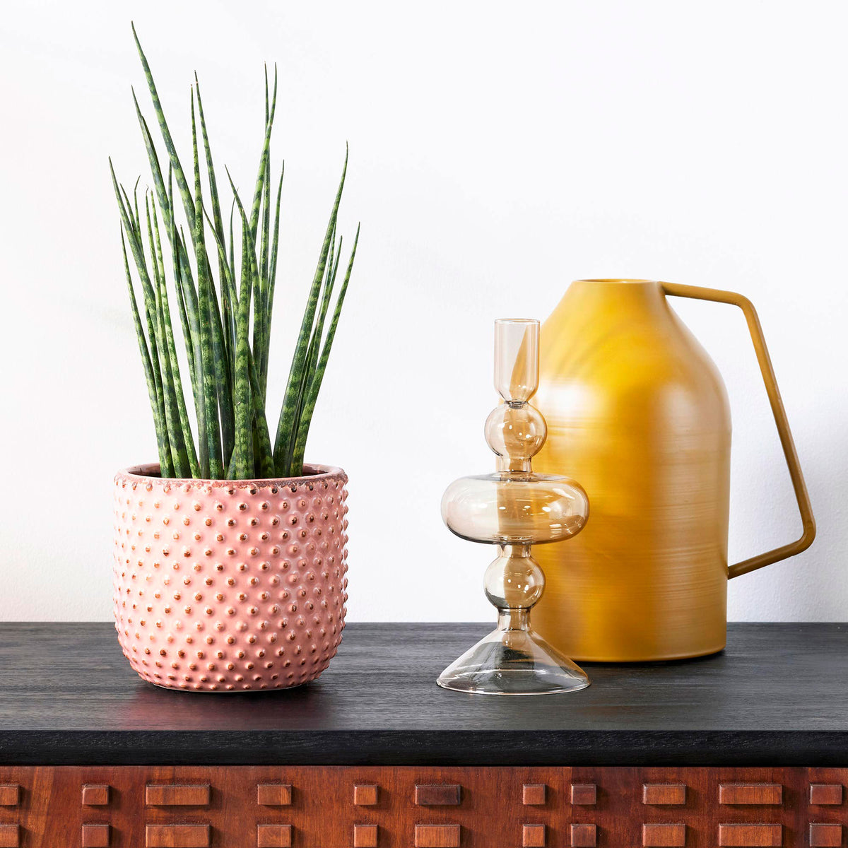 Snake plant Sansevieria 'Fernwood Mikado'