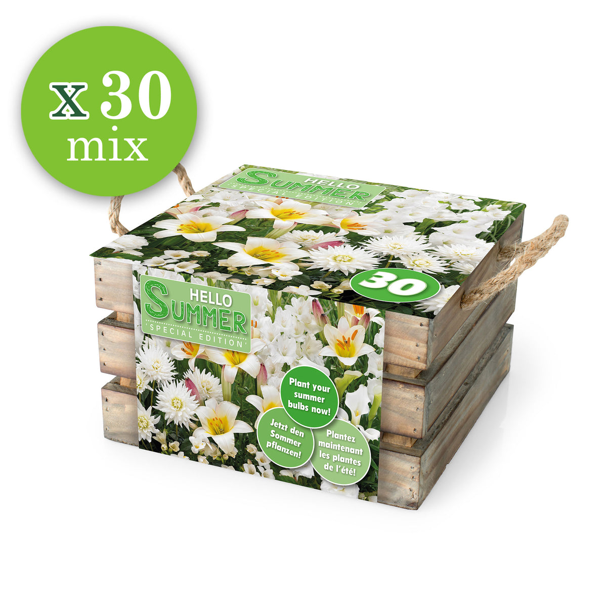 30x Flower bulbs - Mix 'Hello Summer!' white