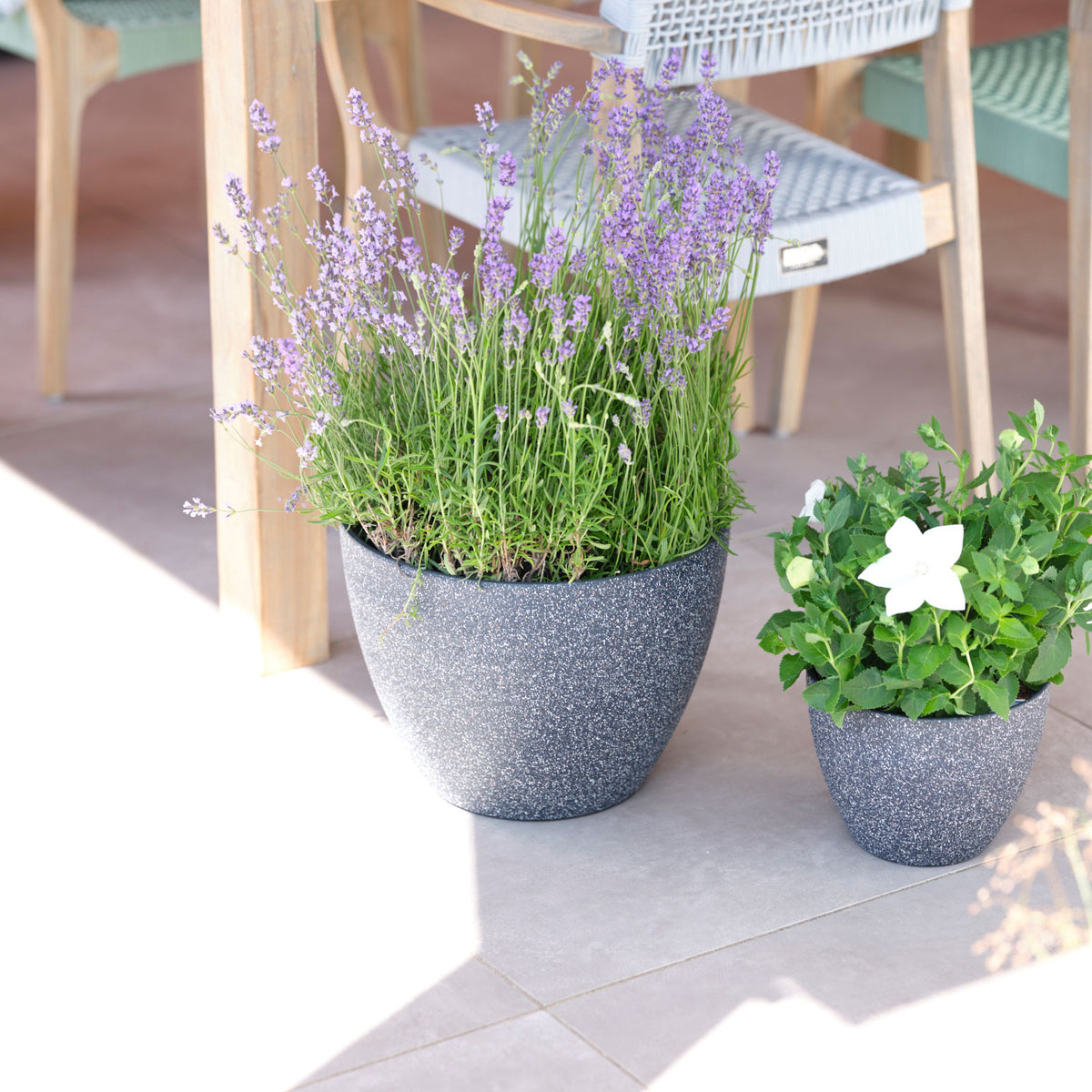 TS Flower pot Nova black - Outdoor pot
