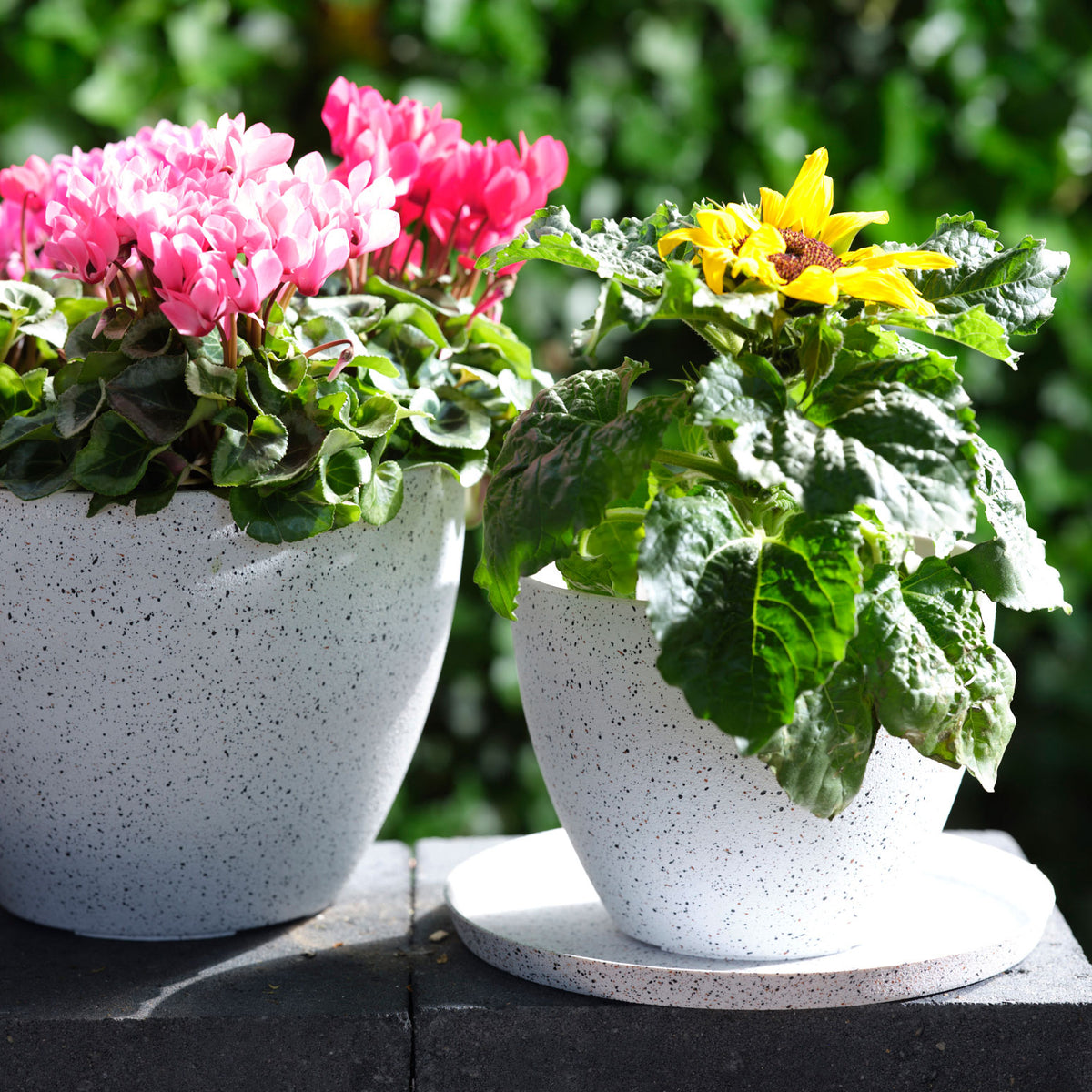 TS Flower pot Nova round white - Outdoor pot