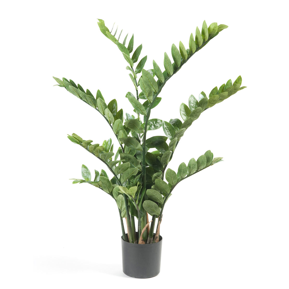 Artificial plant Indoor palm Zamioculcas incl. decorative black pot