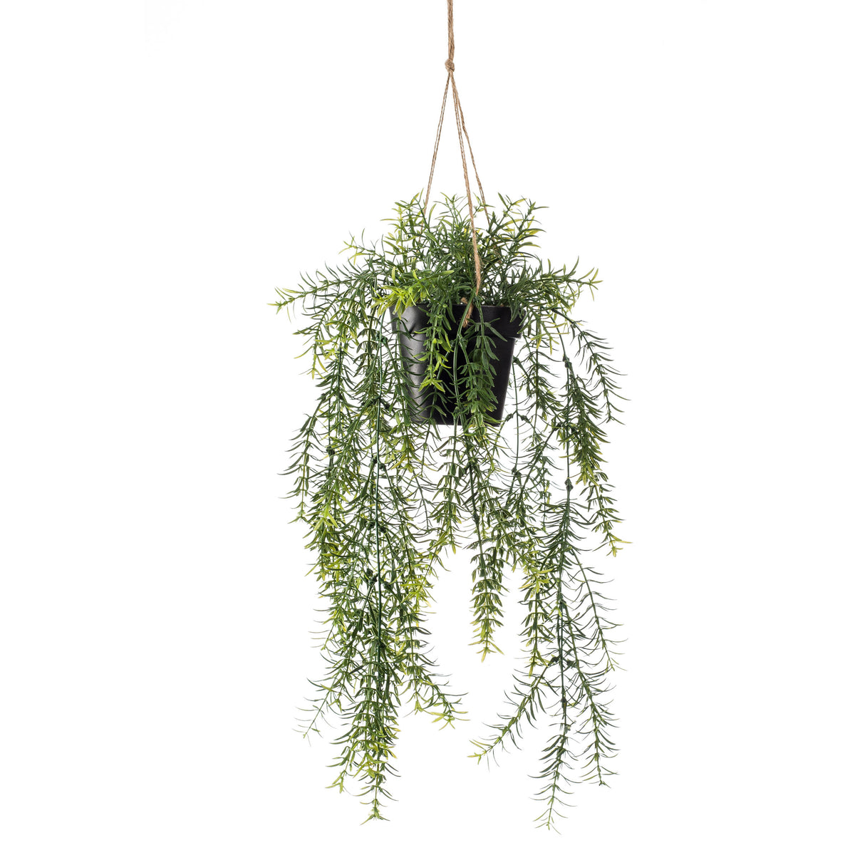 Artificial plant Ornamental asparagus Asparagus incl. black hanging planter