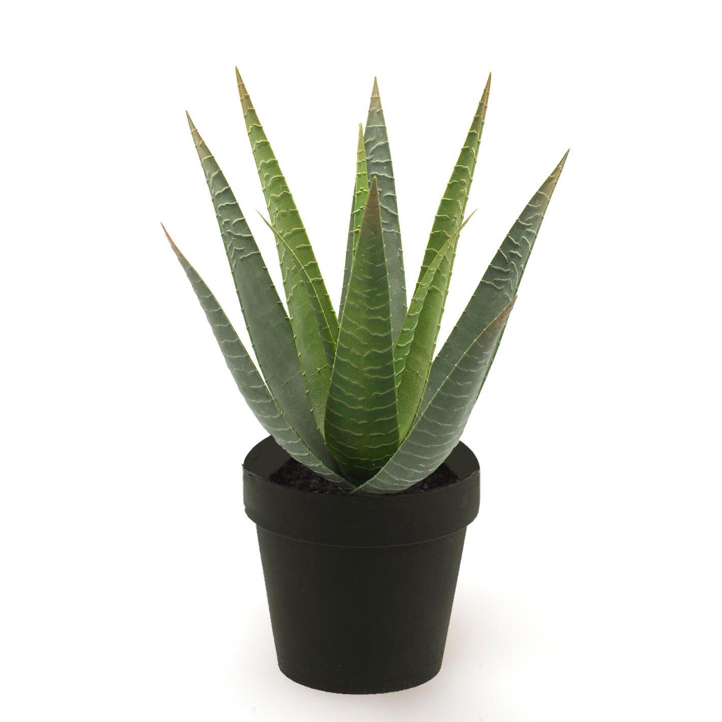 artificial aloe vera plant in pot Artificial plant Aloe vera incl. decorative black pot