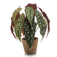 Artificial plant Begonia incl. decorative brown pot