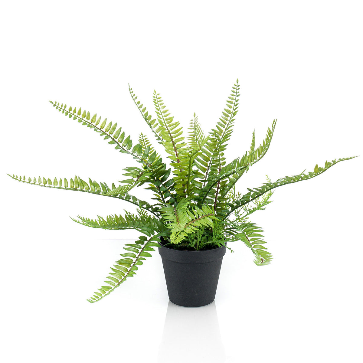 Artificial plant Sword fern Nephrolepis incl. decorative black pot