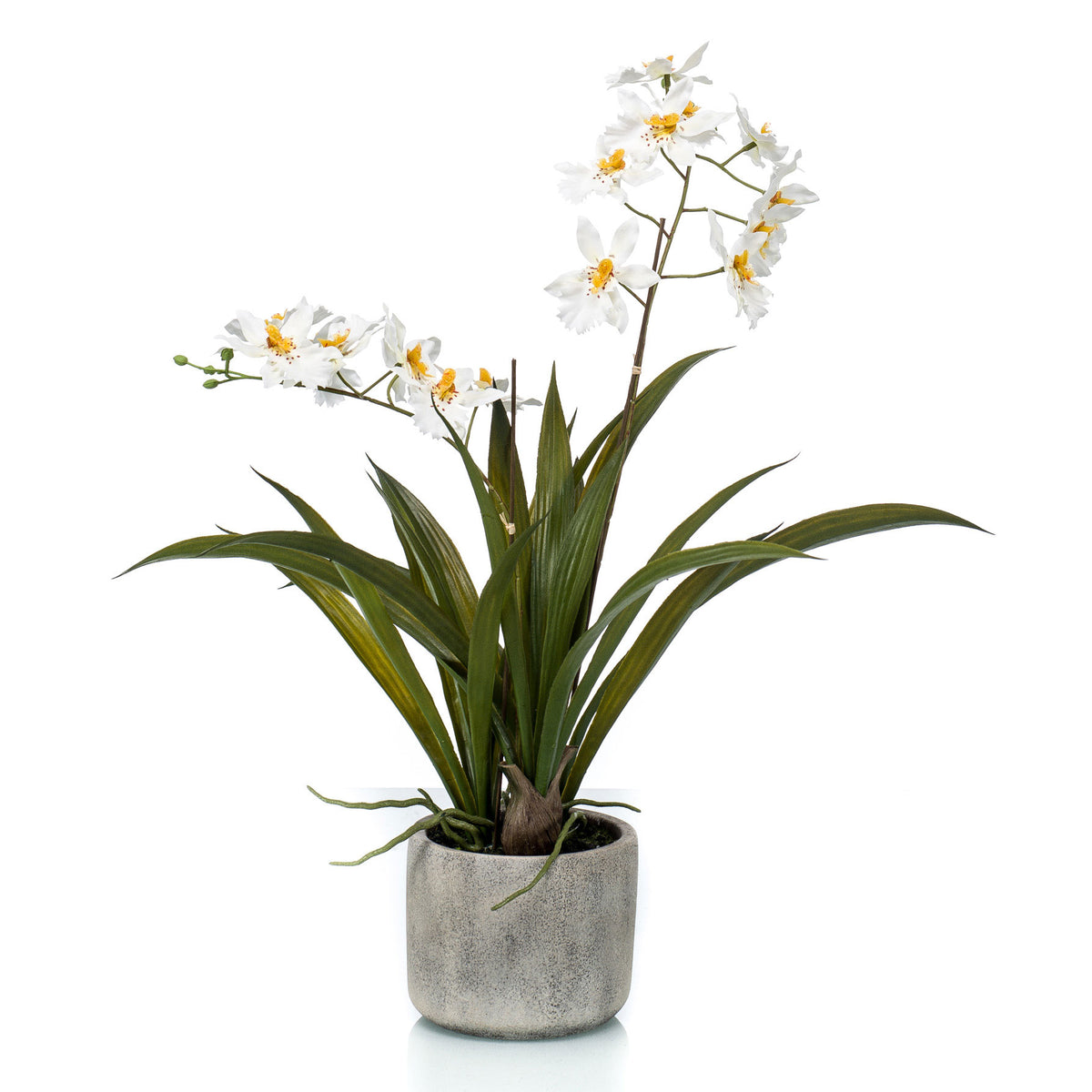 Artificial plant Orchid Oncidium white-yellow incl. decorative ceramic pot