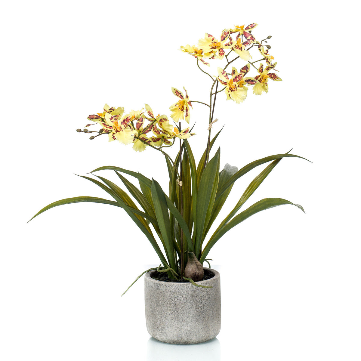 Artificial plant Orchid Oncidium yellow incl. decorative ceramic pot
